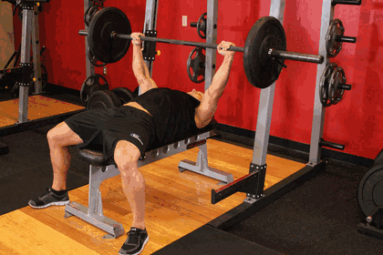 Barbell Bench Press exercise GIF demonstration