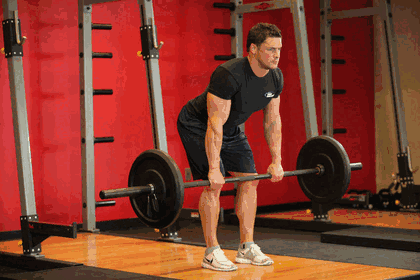 Bent Over Barbell Row GIF