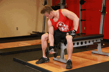 Concentration Curl GIF