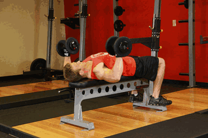 Dumbbell Bench Press GIF