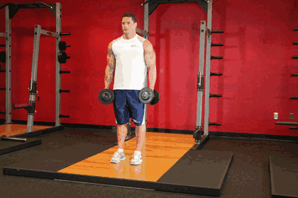 Dumbbell Bicep Curl GIF