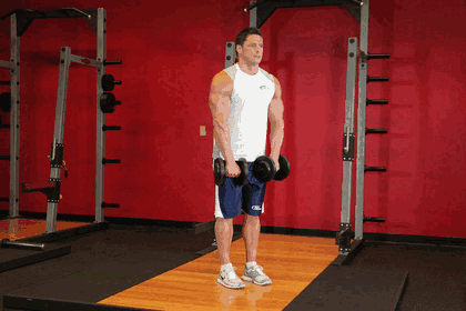 Front Dumbbell Raise GIF