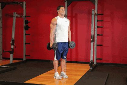 Hammer Curl GIF — animated arms exercise demonstration