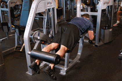 Lying Leg Curl GIF