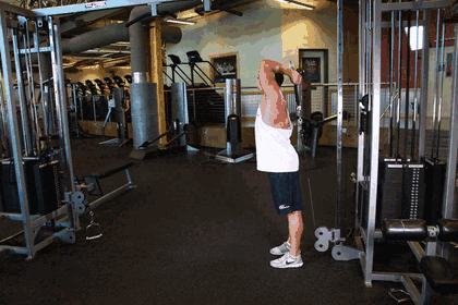 Overhead Triceps Extension GIF