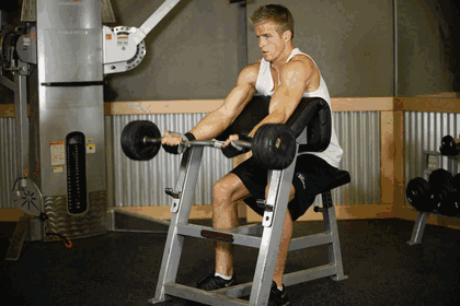 Preacher Curl GIF