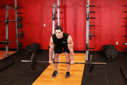 Romanian Deadlift exercise GIF demonstration