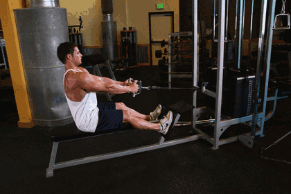 Seated Cable Row exercise GIF demonstration