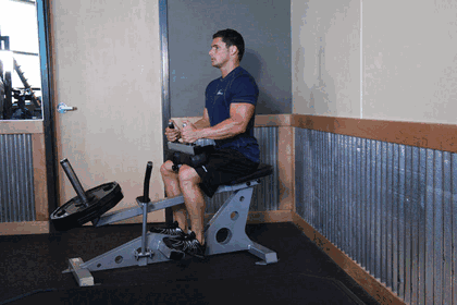 Seated Calf Raise GIF