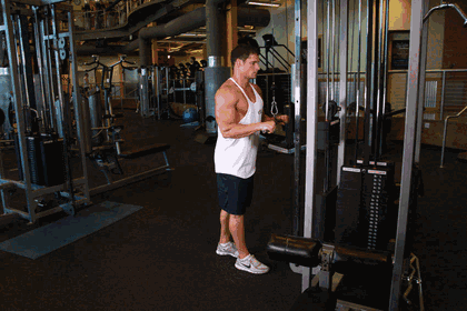 Triceps Pushdown GIF — animated arms exercise demonstration